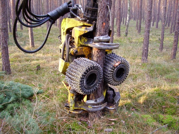 Harvesterkopf - Harvesteragregat Harvesterkopf - Harvesteragregat