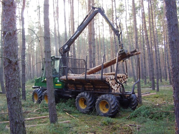 Forwarder im Scharteucker Forst Forwarder im Scharteucker Forst